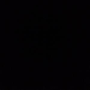 Meet your Posher, Francesca